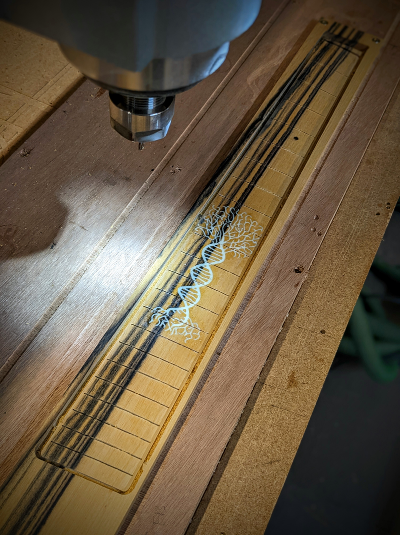 Freboard 5